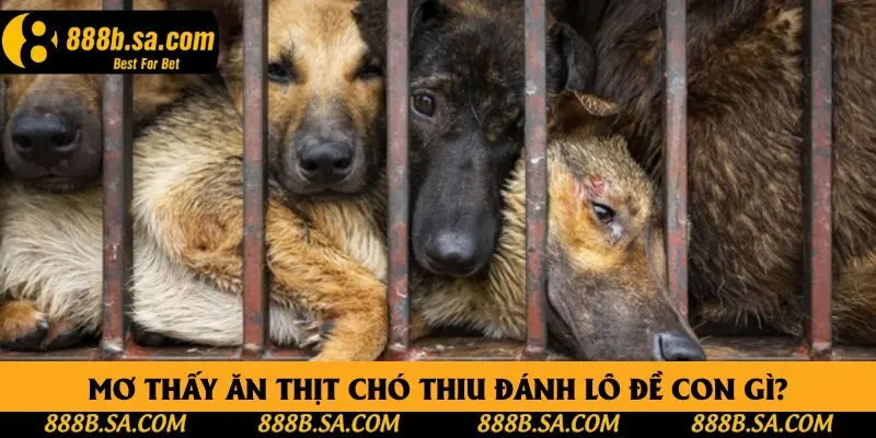 Mơ thấy ăn thịt chó thiu đánh lô đề con gì?